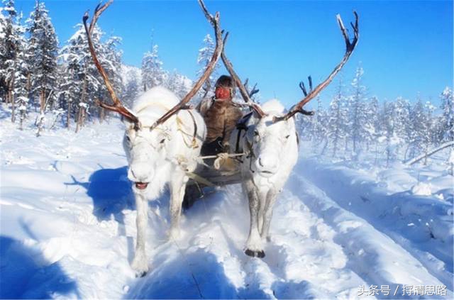 冰河世纪领先夺冠,寒冷之地报道 冰河世纪领先夺冠,寒冷之地报道