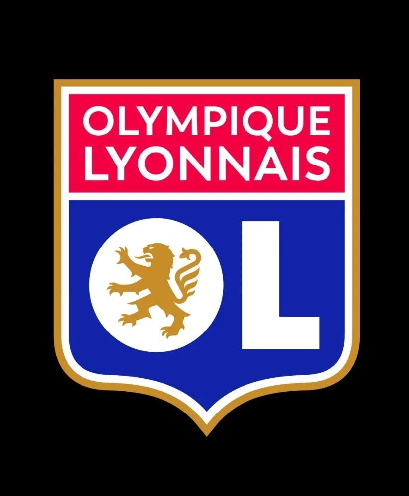 黑白直播nba在线观看-里昂队赢得连胜，排名不断攀升