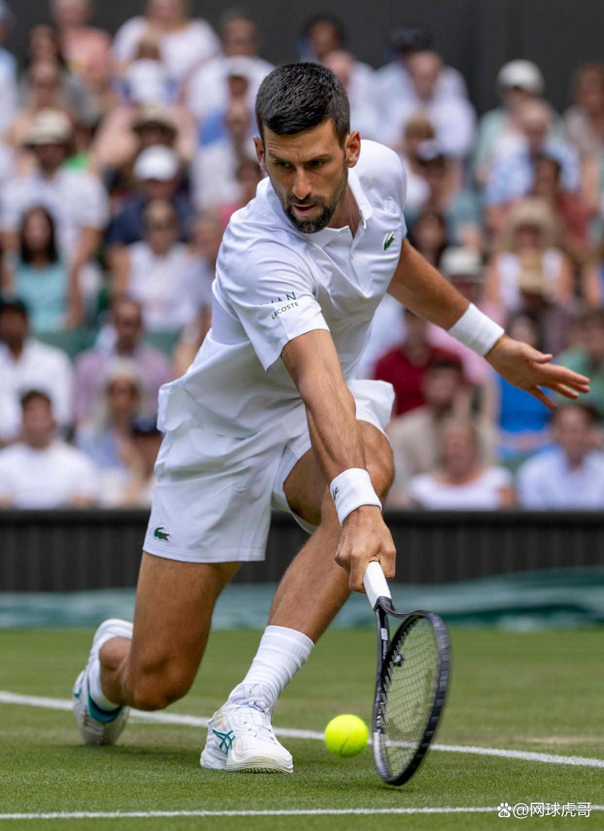 黑白直播nba在线观看-包含意大利网球队横扫德国网球队,德约科维奇爆发神勇的词条
