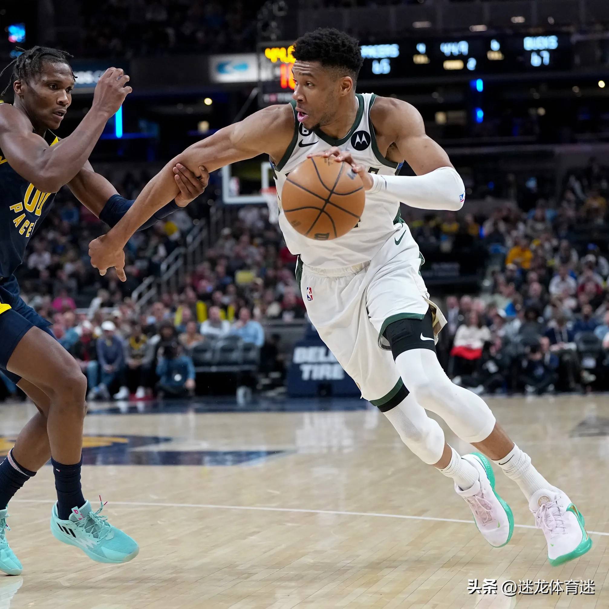 雄鹿主场击败尼克斯,字母哥发挥稳定 雄鹿主场击败尼克斯,字母哥发挥稳定