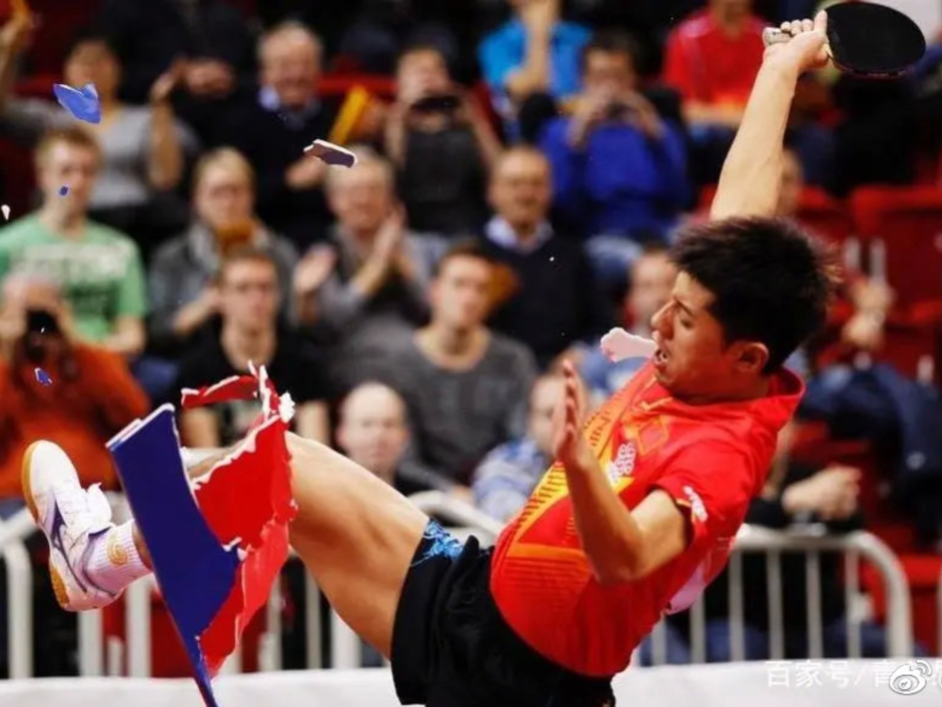 黑白直播-中国乒乓球队血洗比利时乒乓球队,张继科关键制胜的简单介绍