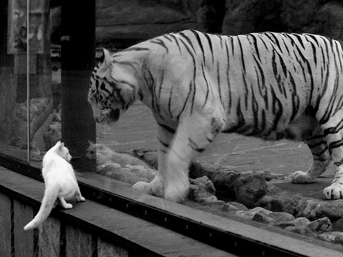 黑白直播体育-金玟哉统治全场，国际米兰钢铁防线力克毕尔巴鄂