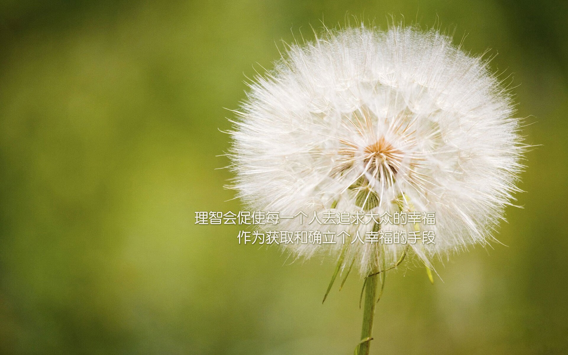 惊天大冷!霍勒迪导演吉林队掀翻热火