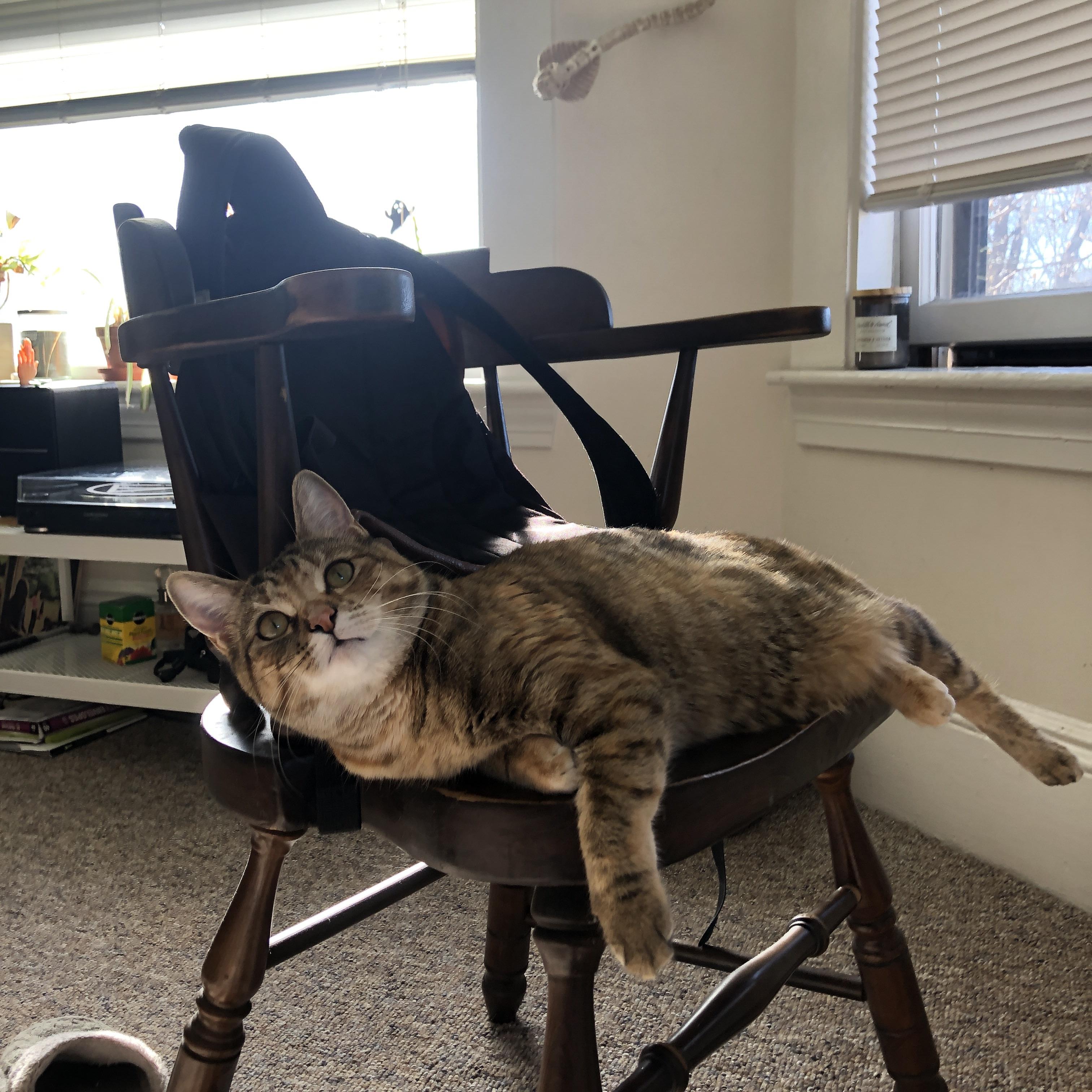 迪亚斯抢七封神,加拿大逆转多特蒙德创奇迹