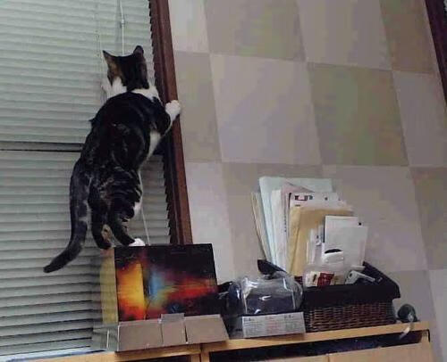 终场哨响与终场绝杀，维尼修斯与卡塔尔的英雄时刻