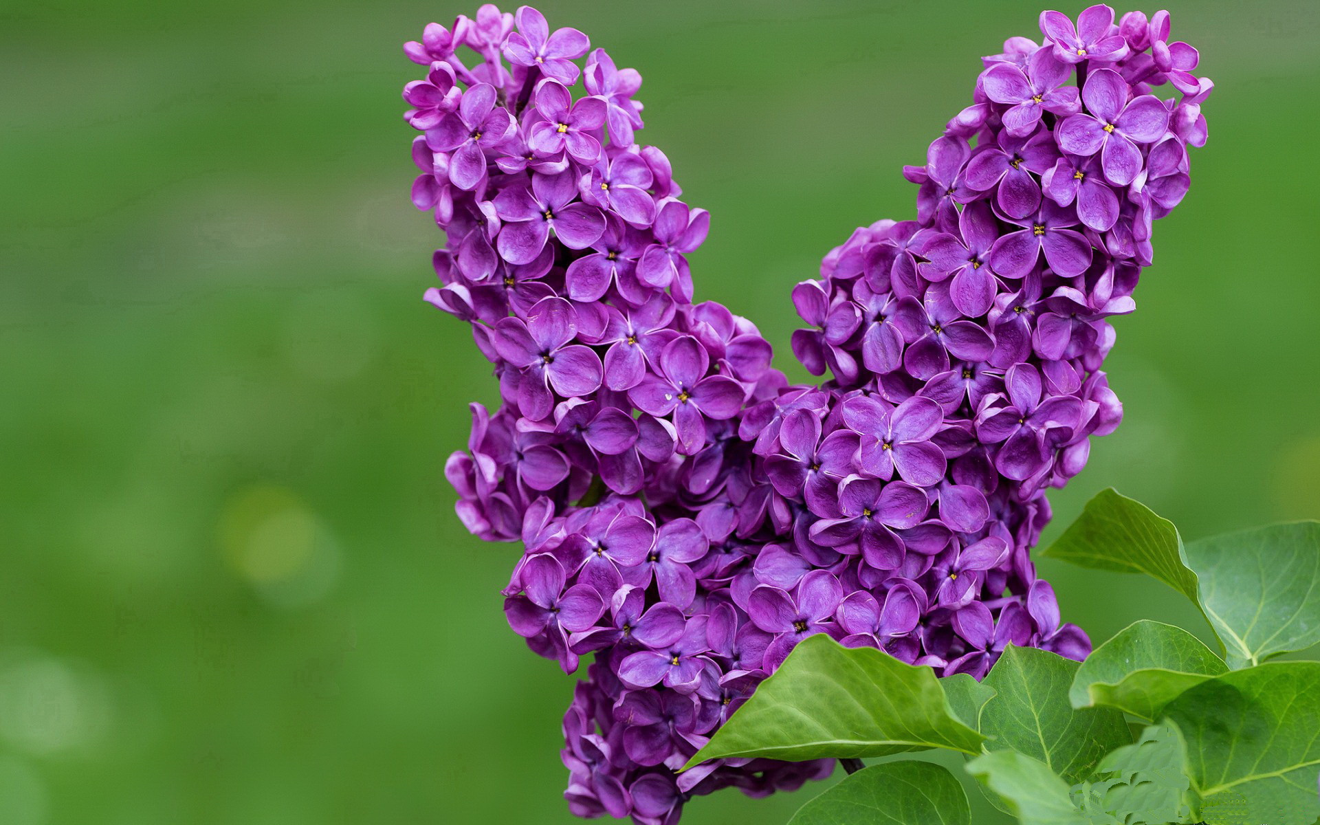黑白直播在线观看nba-卡瓦哈尔接管关键战,英格兰险胜日本剑指奥运