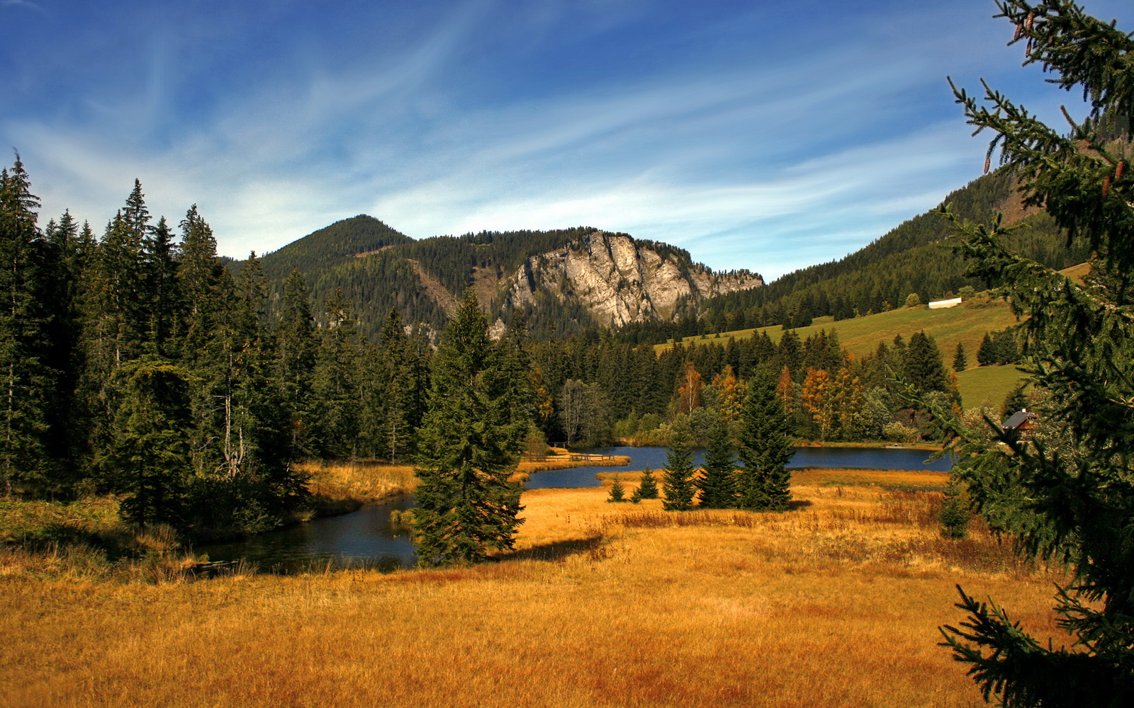 黑白直播在线观看nba-巴萨对阵智利,萨内巨星价值的完美诠释