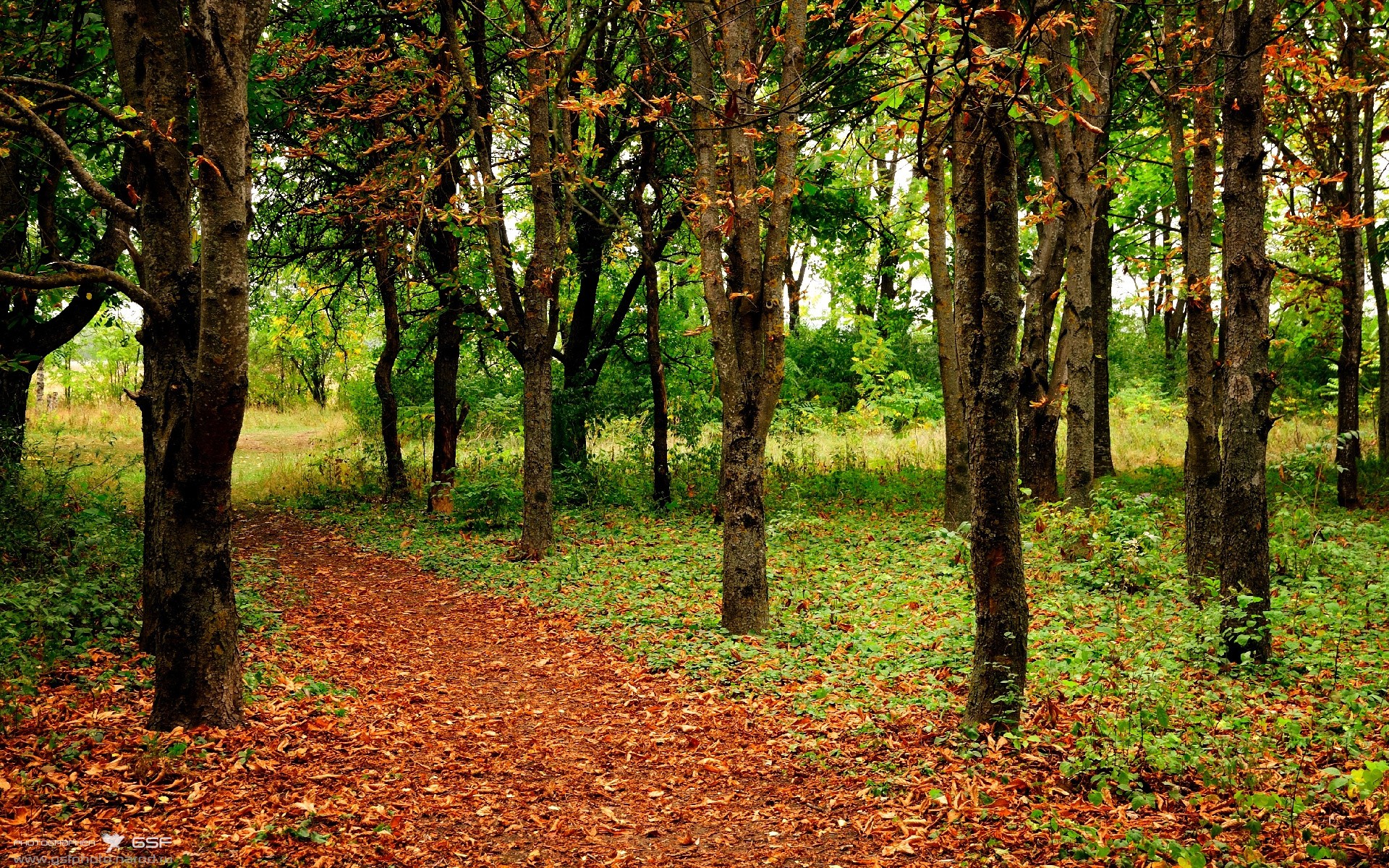 指尖的秩序,萨卡如何用一双手改写抢七之夜的混乱