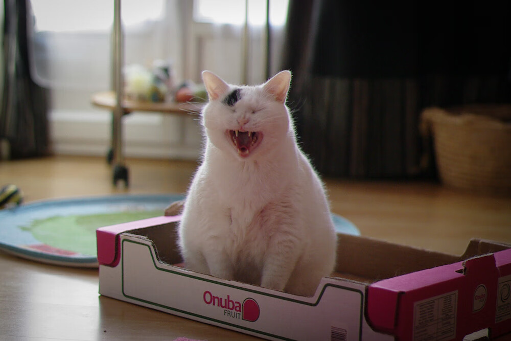 黑白直播体育-跨越半个地球的巧合，当东决窒息防守遇上沙特沙漠飓风