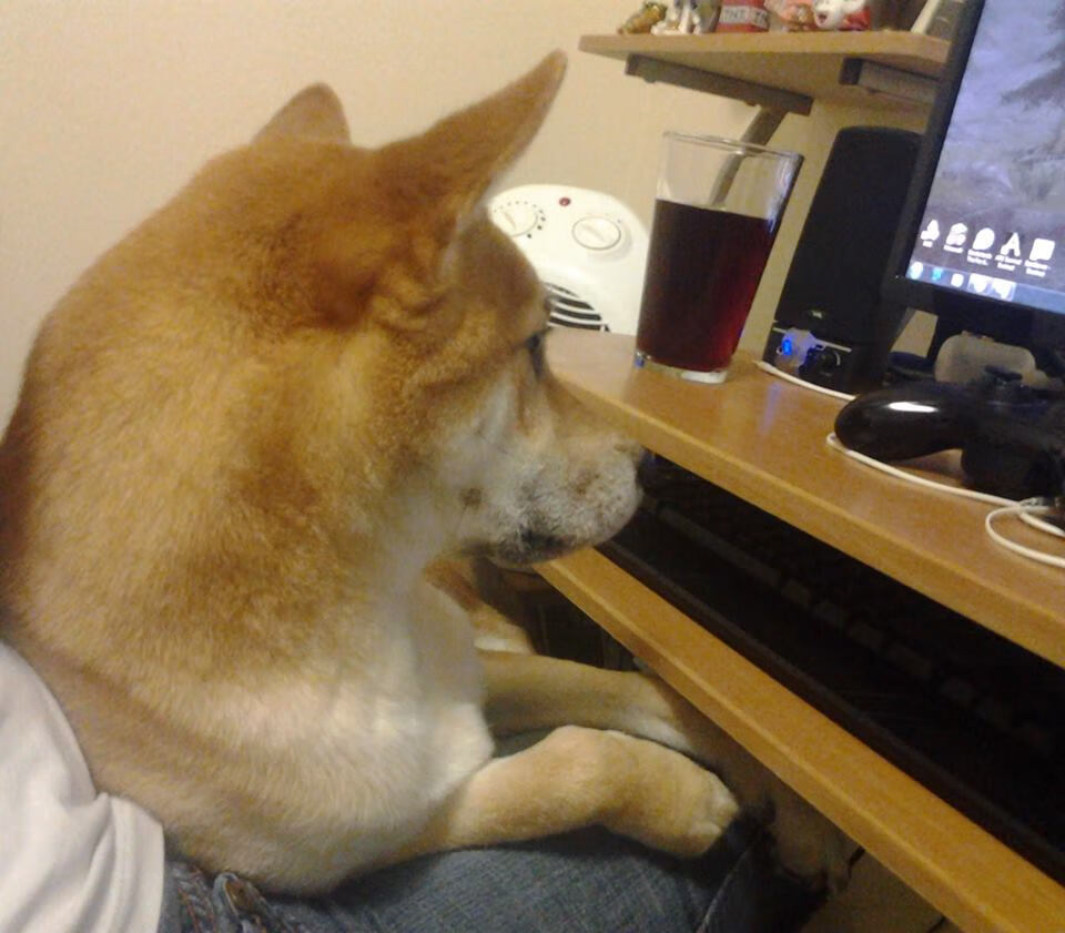 当字母哥化为球场的希腊风暴,上海队如何在碾压中寻找光亮