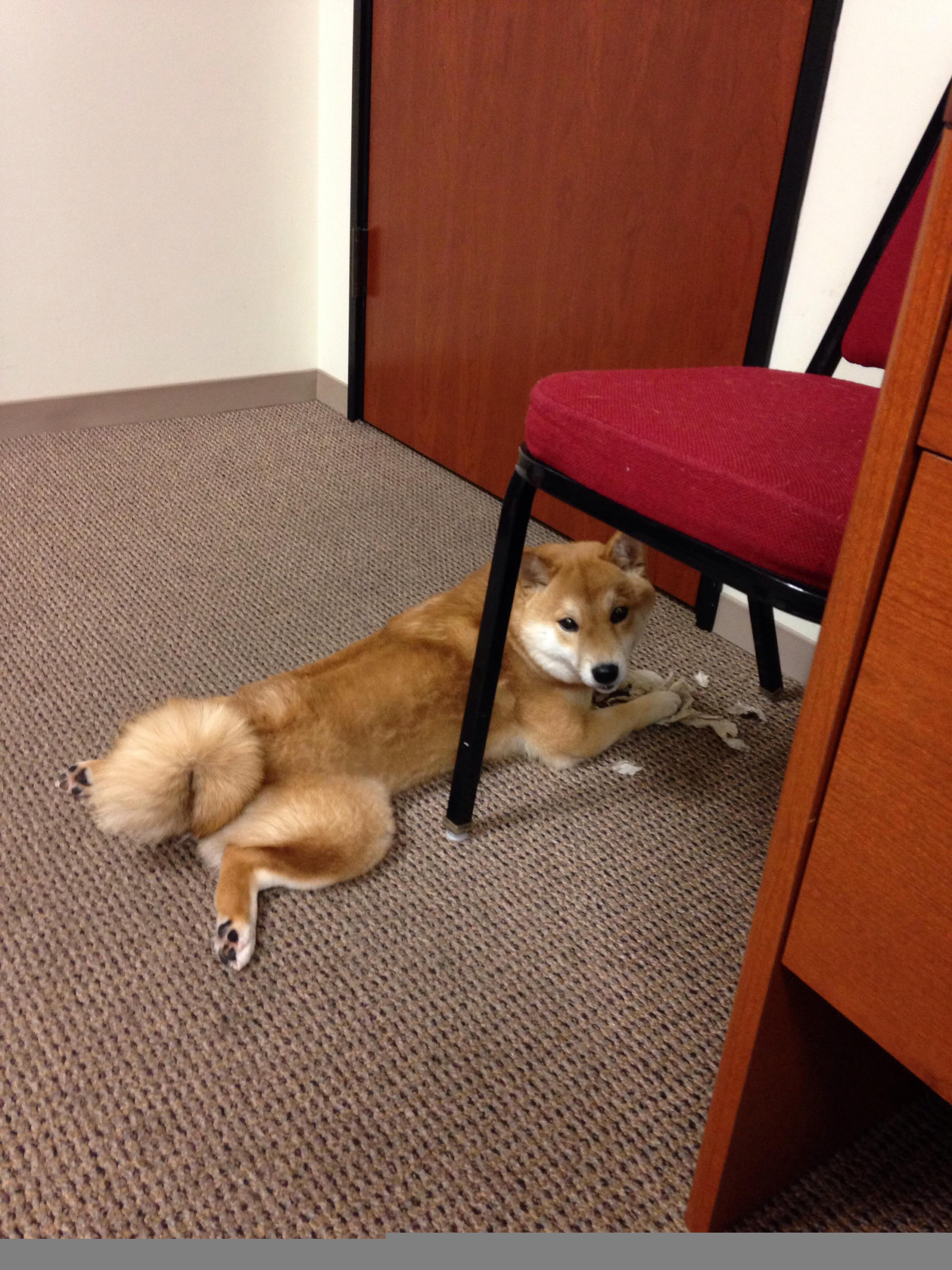 绿茵博弈，当本泽马的锁链与拉齐奥的鏖战重写胜负法则