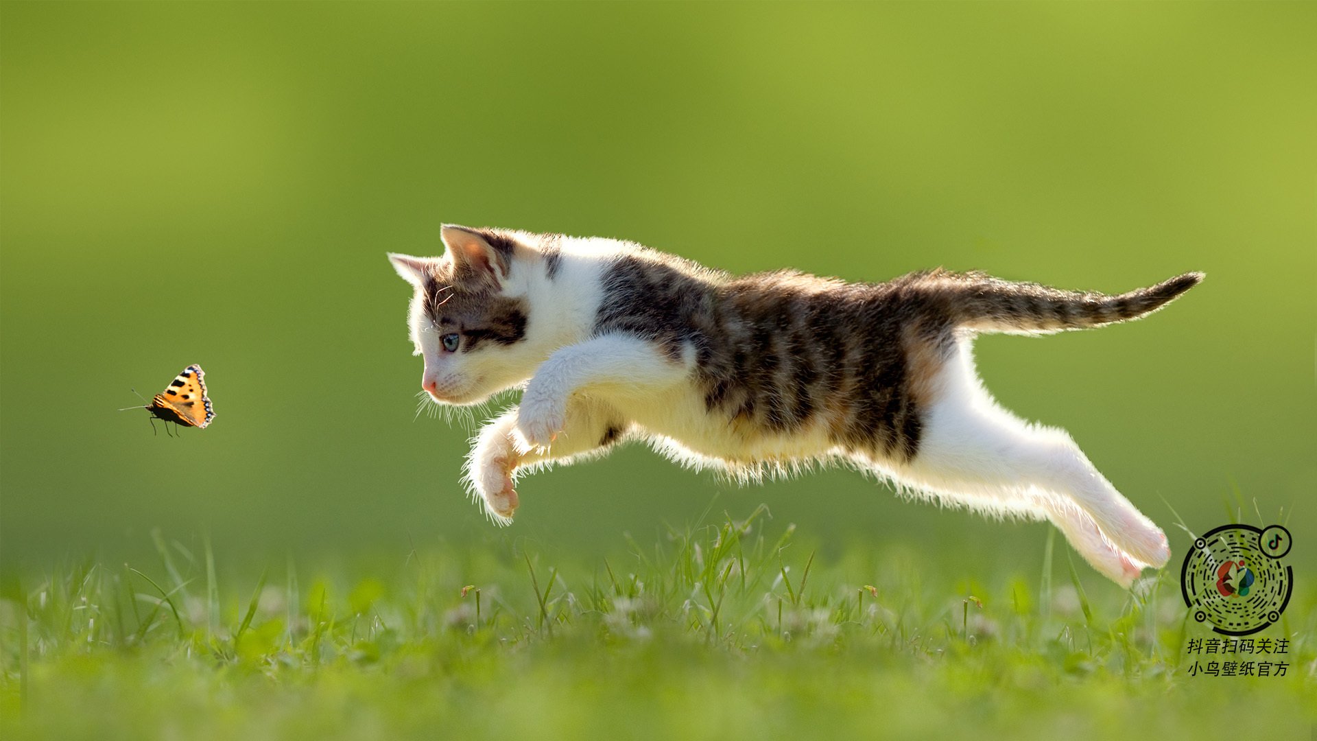 钢铁丛林与兄弟之城的血战，尼克斯血拼76人，东部排名争夺白热化