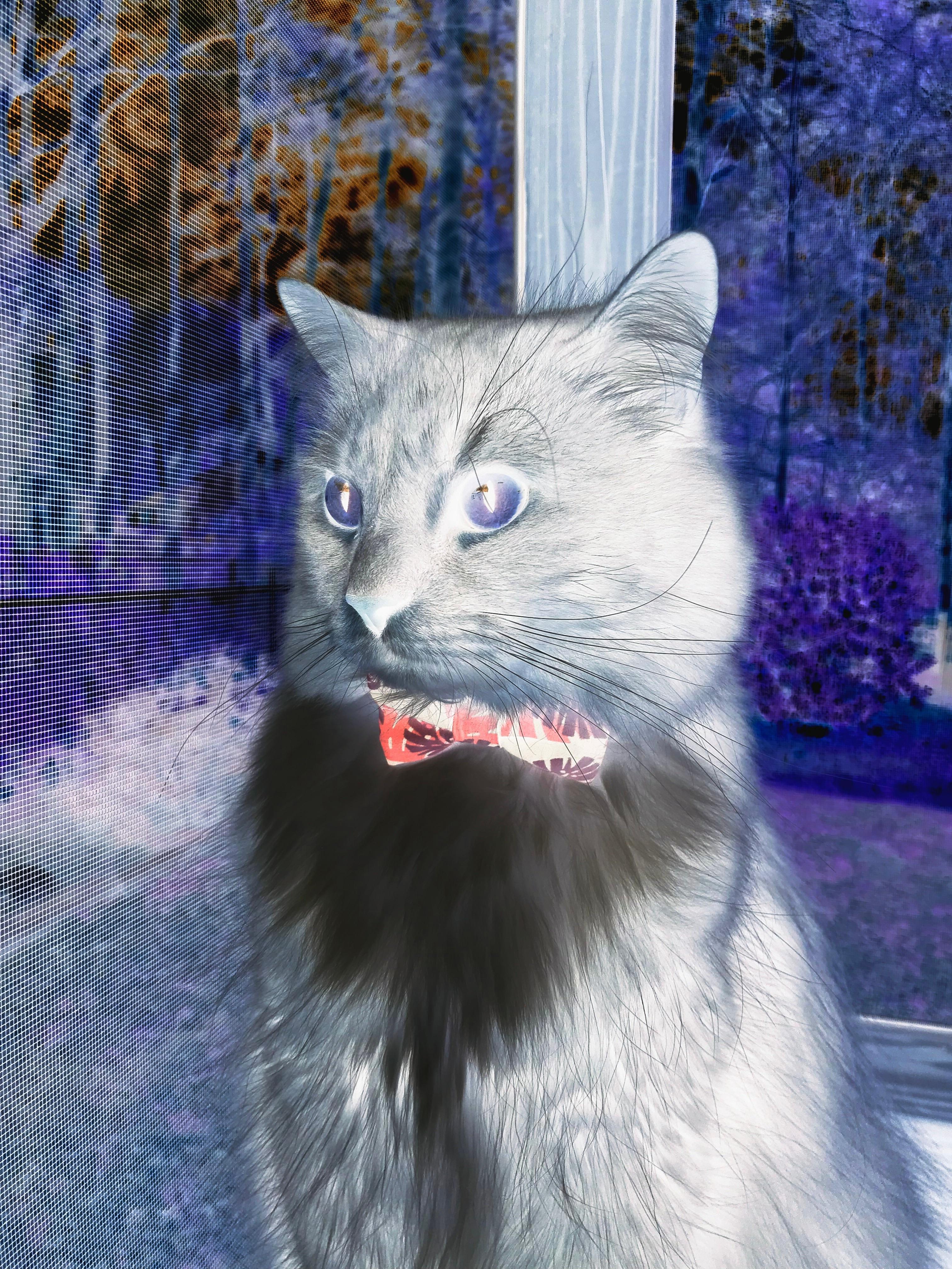 梦碎马拉多纳！闪电一击，迪亚斯终结巴萨时代