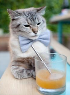 黑白直播在线观看nba-黑马觉醒！厄德高末节如天神下凡，率雷恩掀翻不可一世的曼城巨舰