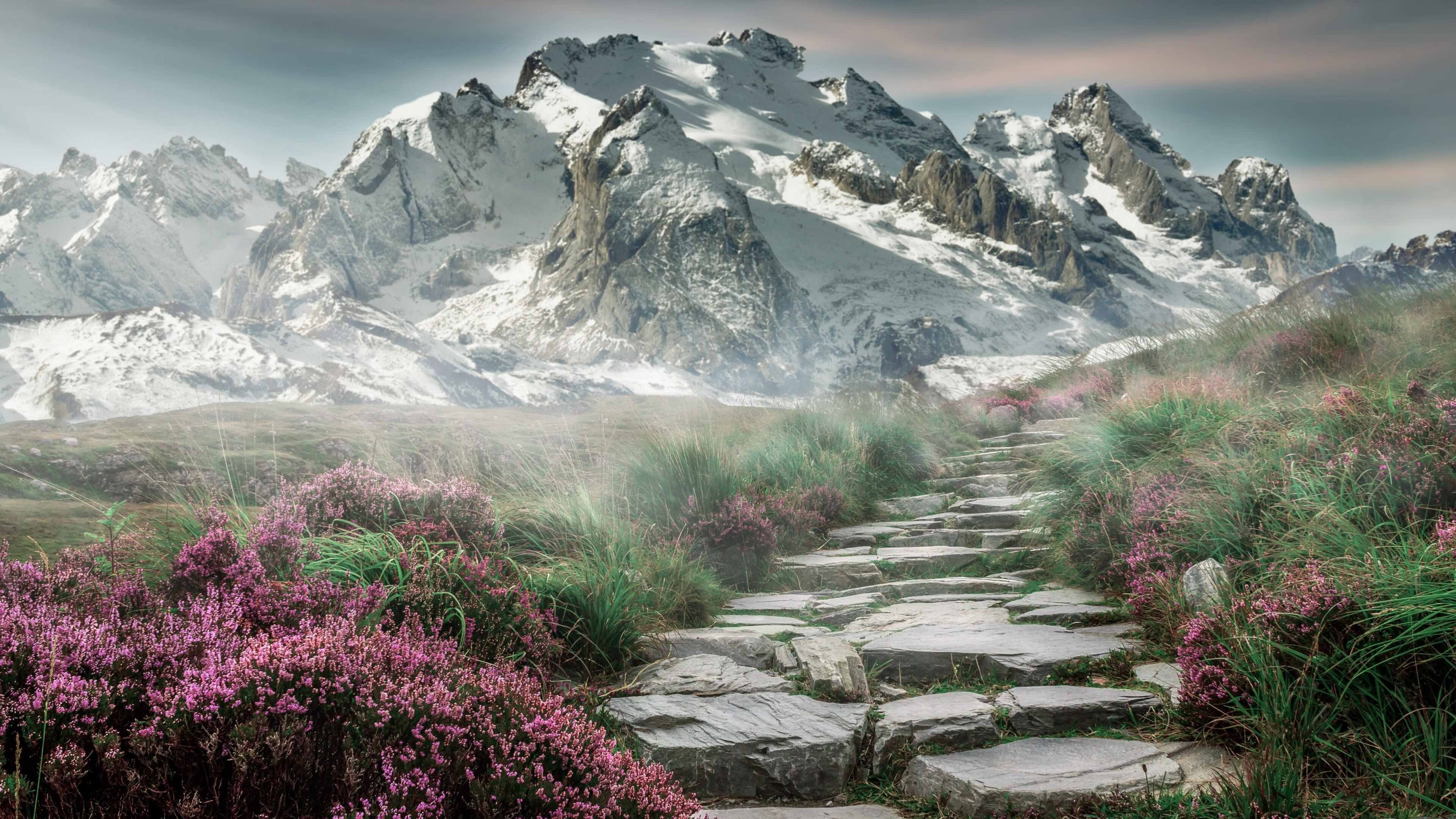 黑白直播在线观看nba-足球盛宴，阿森纳欧冠狂胜马竞，拉什福德刷新进球纪录