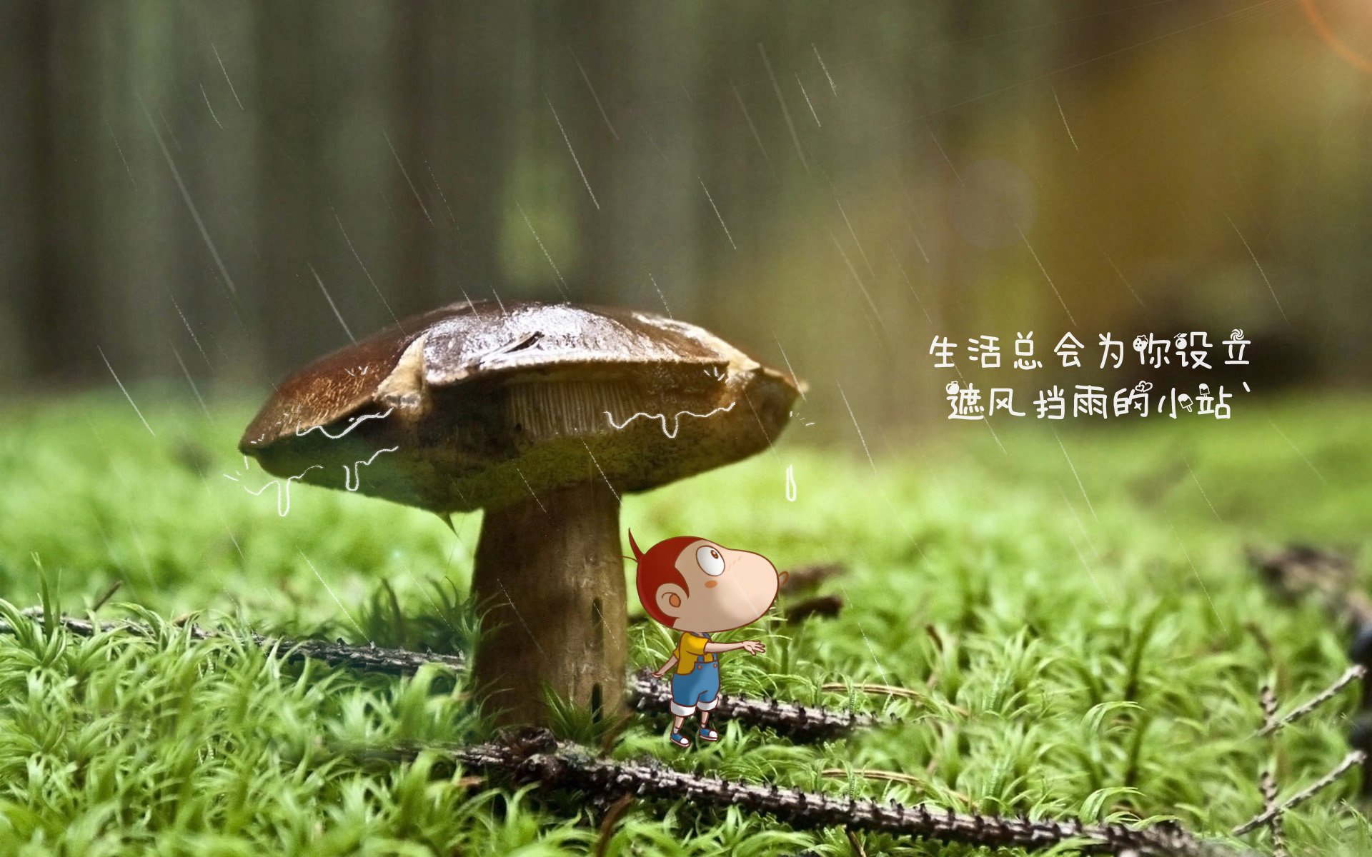 黑白直播-高卢雄鸡技压群雄,努涅斯独舞闪耀—2026世界杯E组强强对话法国压制印度