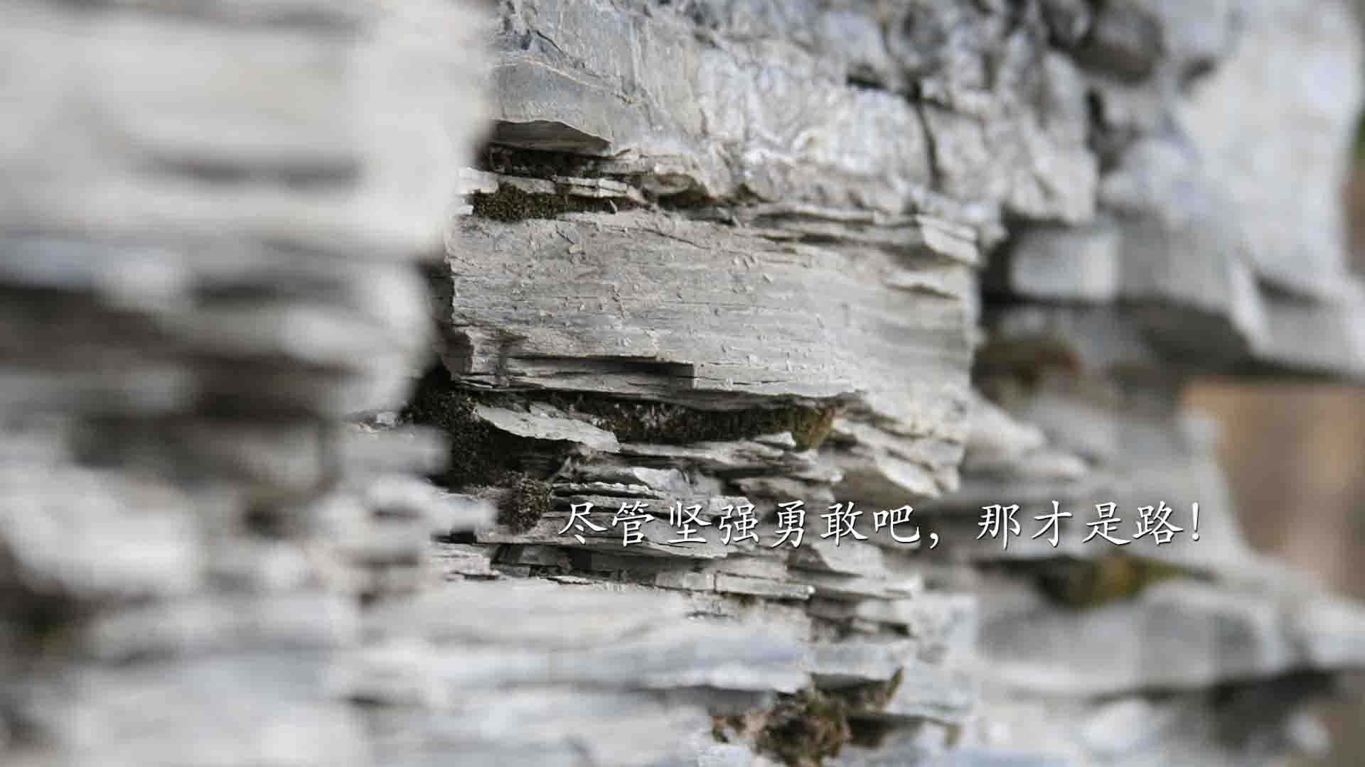 黑白直播在线观看-2026世界杯A组惊天冷门,卡塔尔压制巴西,加维领军逆转取胜