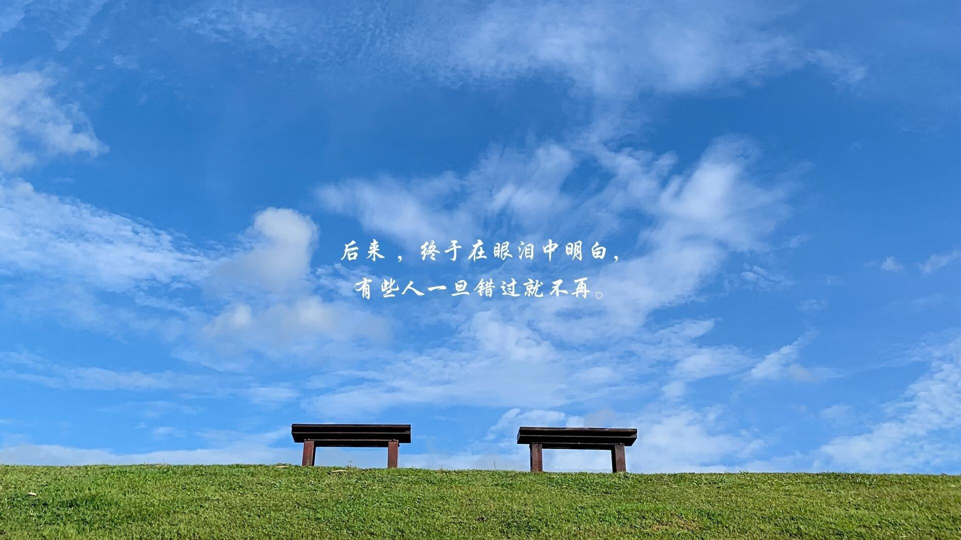 黑白直播网-橙衣狂潮席卷绿茵，荷兰碾压斯洛伐克，萨内闪耀关键积分战