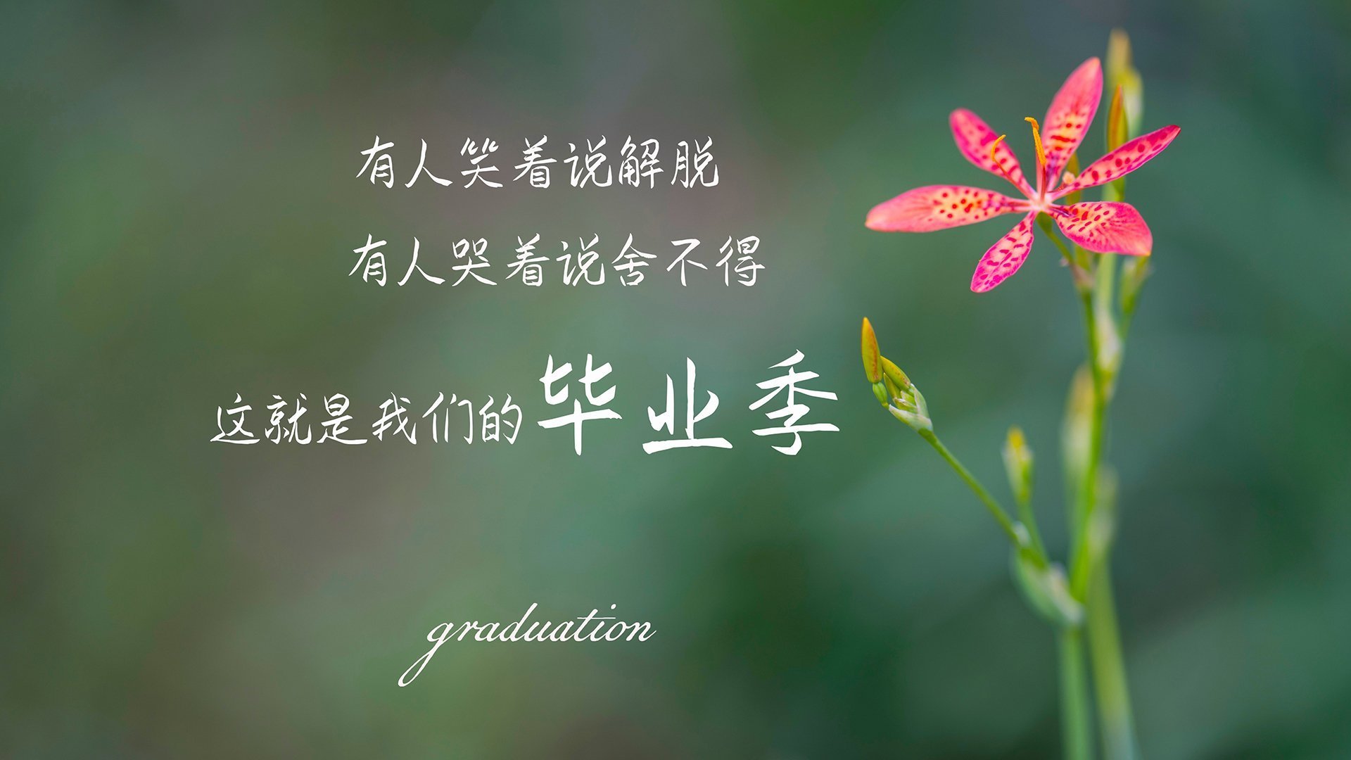 南美劲旅惊险突围，乌拉圭补时绝杀哥斯达黎加，姆巴佩闪耀全场却遗憾离场